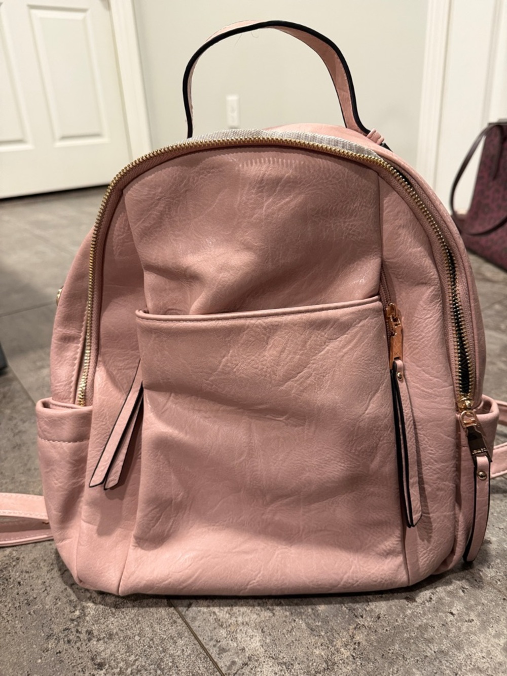 Blush Pink Mini Backpack with Gold-Tone Zippers